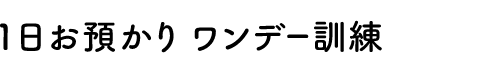 1日お預かり ワンデー訓練